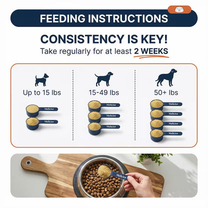 Daily Support for Skin Comfort, Gut Balance & Overall Vitality