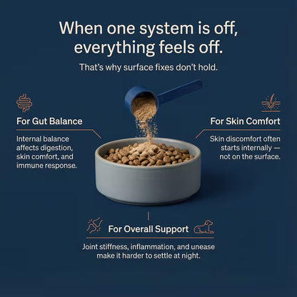 Daily Support for Skin Comfort, Gut Balance & Overall Vitality