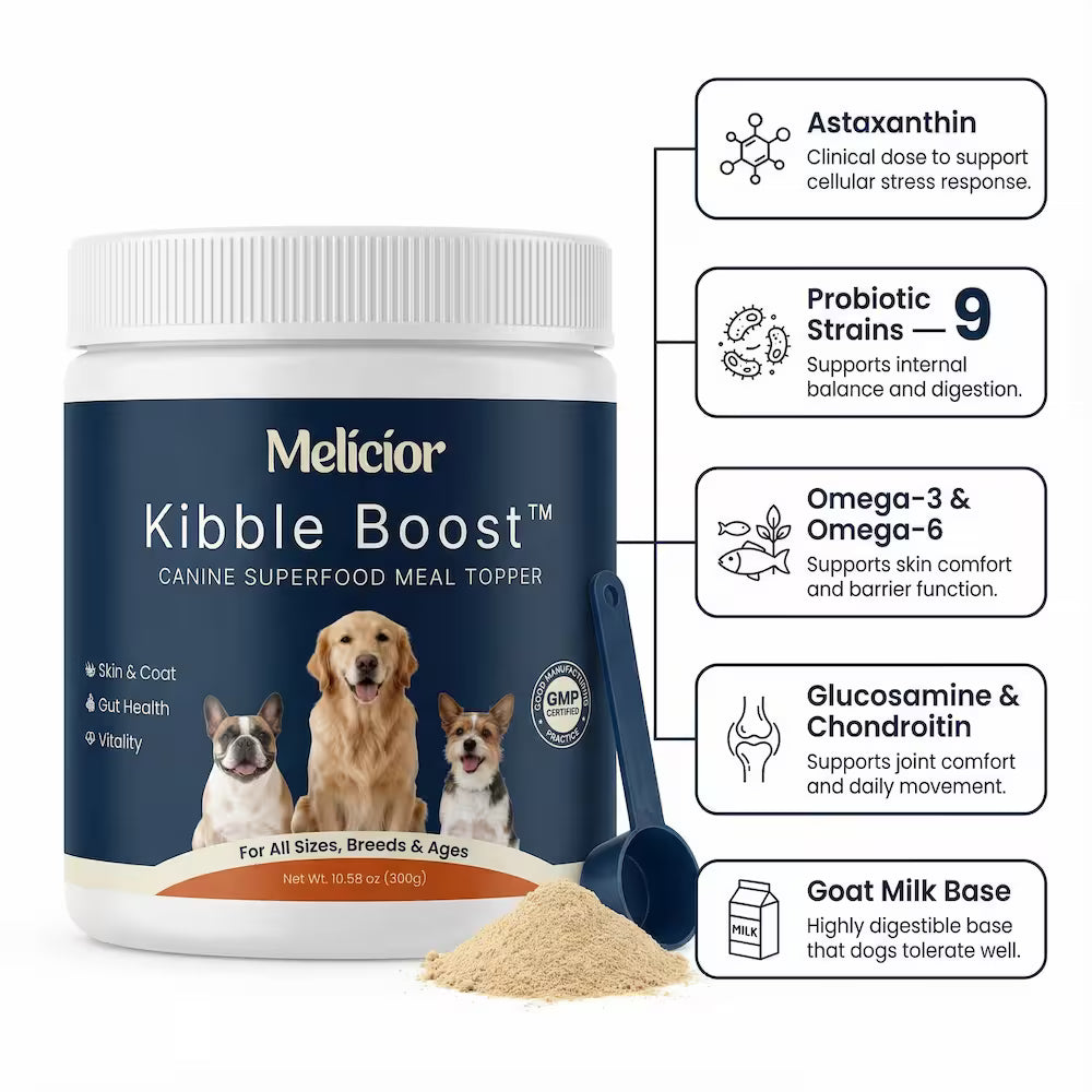 Daily Support for Skin Comfort, Gut Balance & Overall Vitality