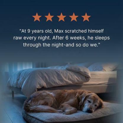 Daily Support for Skin Comfort, Gut Balance & Overall Vitality